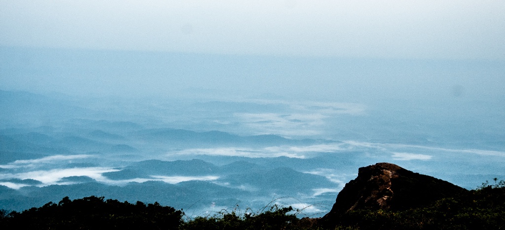Pushpagiri Wildlife Sanctuary