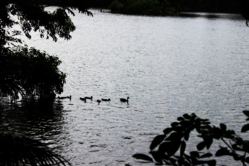 Karanji Lake
