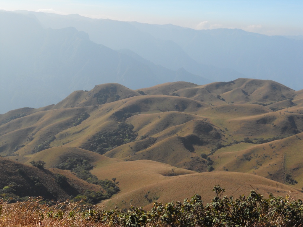 Mukurthi National Park