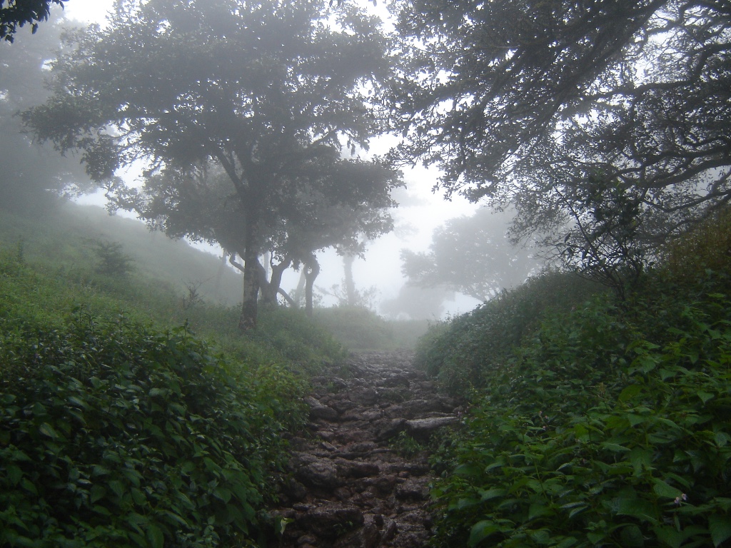 Kodachadri Peak