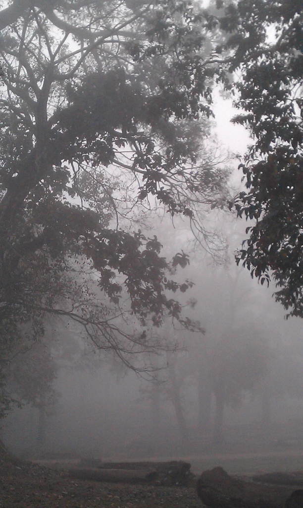 Dandeli Wildlife Sanctuary