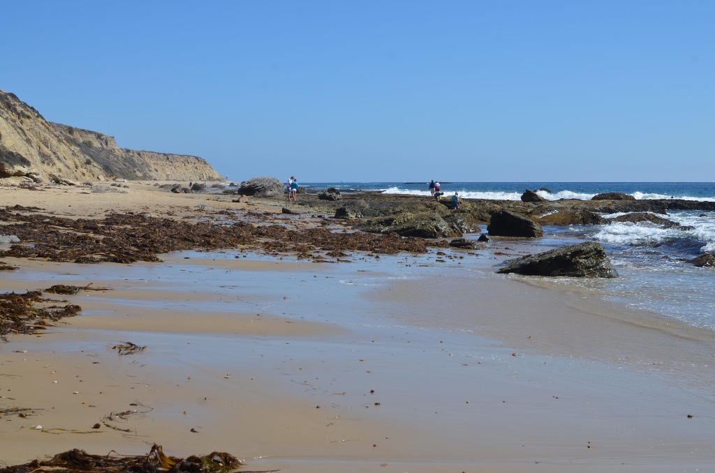 Crystal Cove State Park