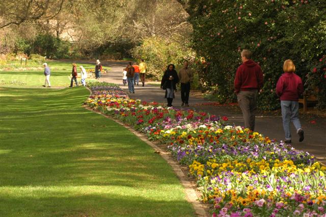 Descanso Gardens