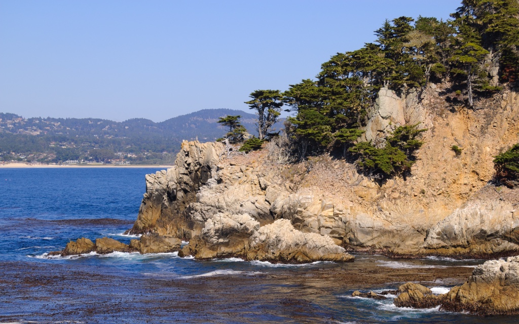 Point Lobos State Natural Reserve