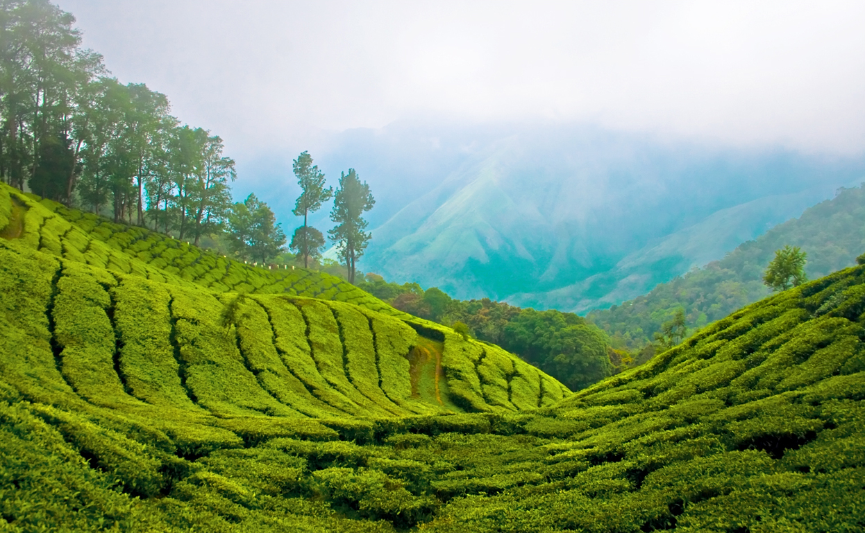 Top 10 Places to Visit in Kerala | 2026 Travel Guide