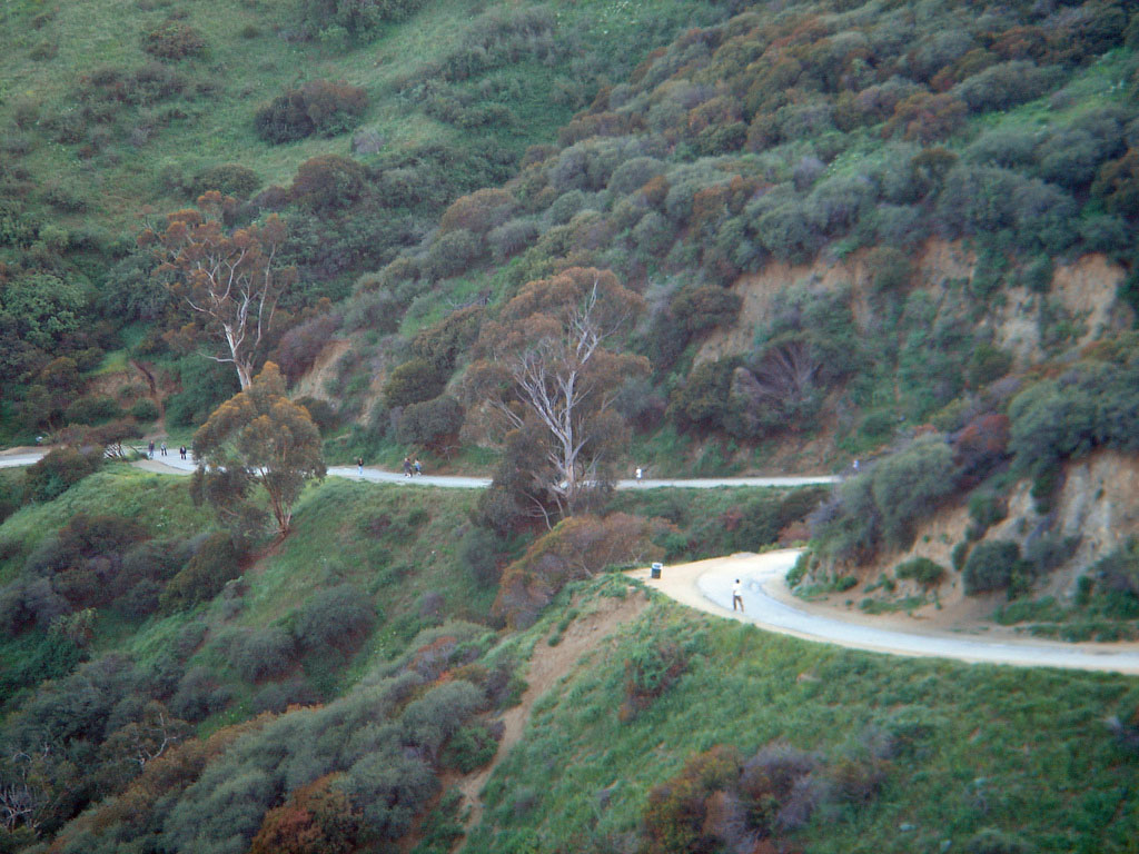 Runyon Canyon Park