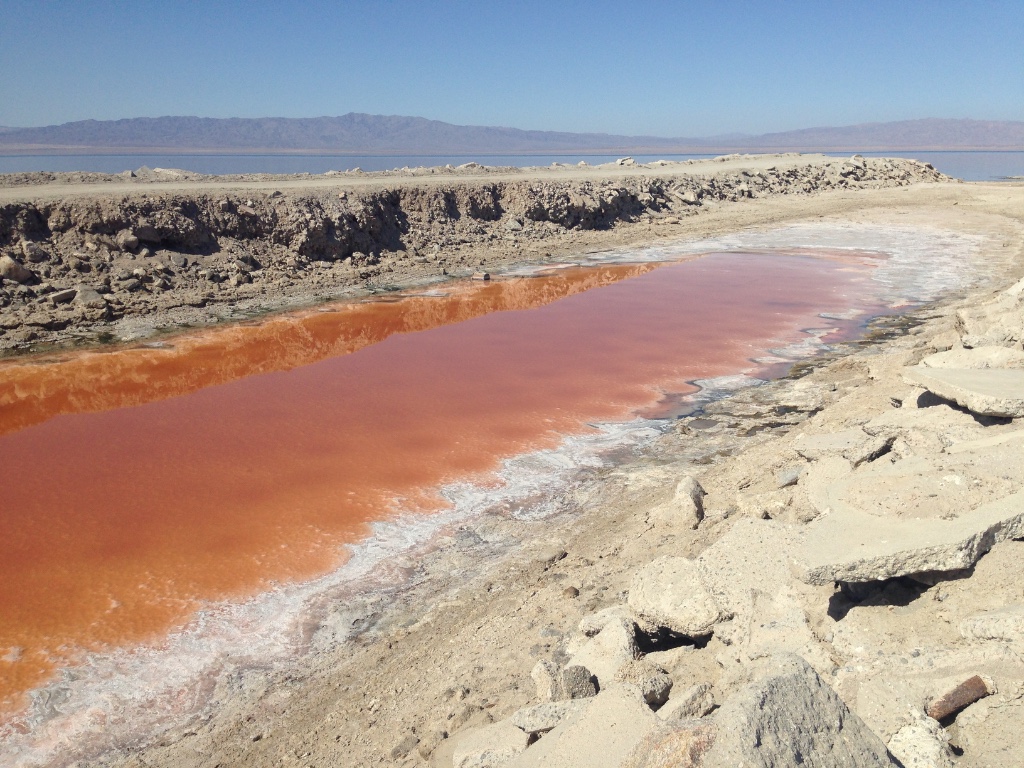 Salton Sea