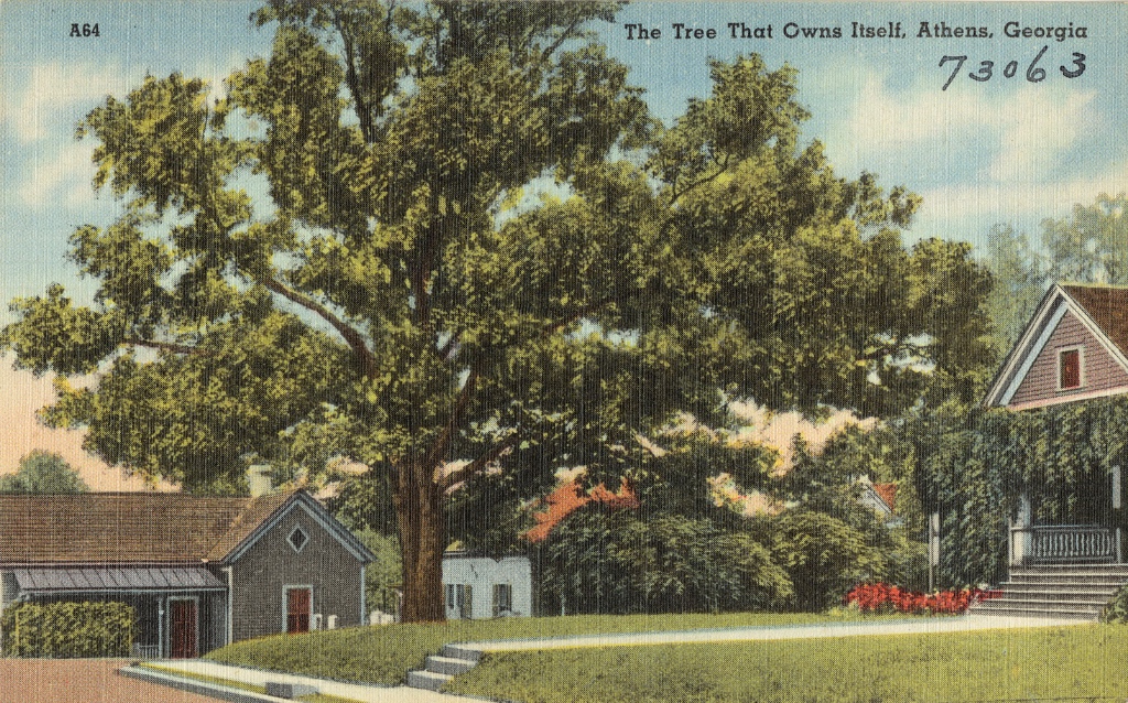 Tree That Owns Itself
