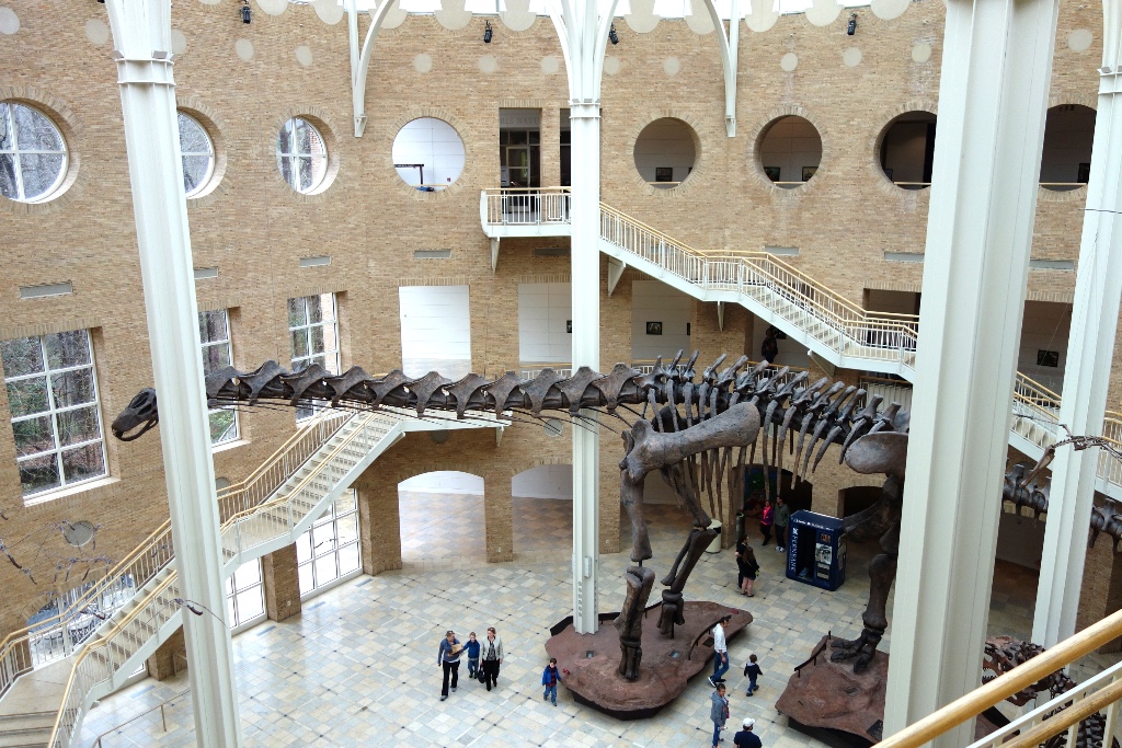 Fernbank Museum of Natural History