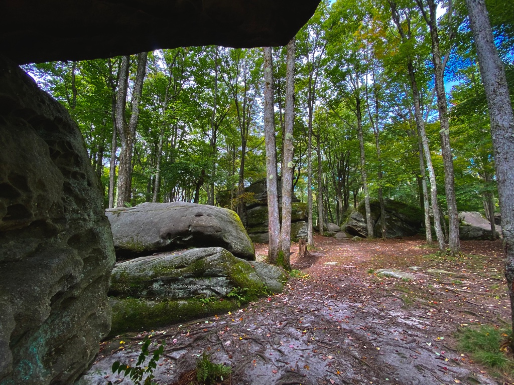 Allegany State Park