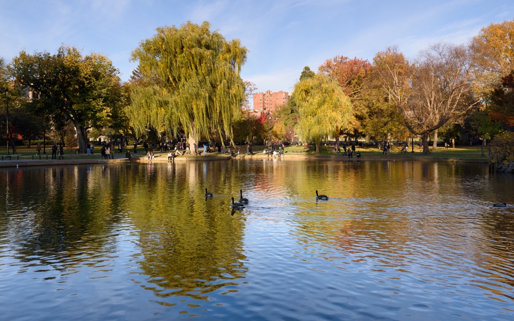 Boston Public Garden