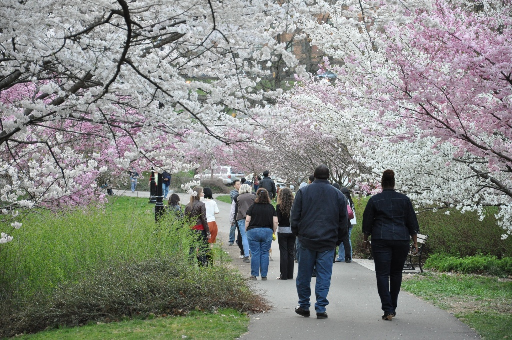 Branch Brook Park