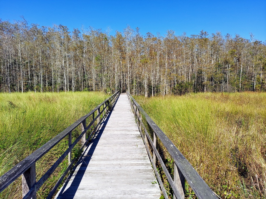 Corkscrew Swamp Sanctuary