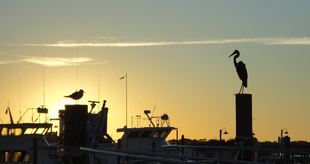 Destin Harbor