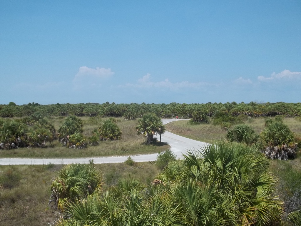 Honeymoon Island State Park