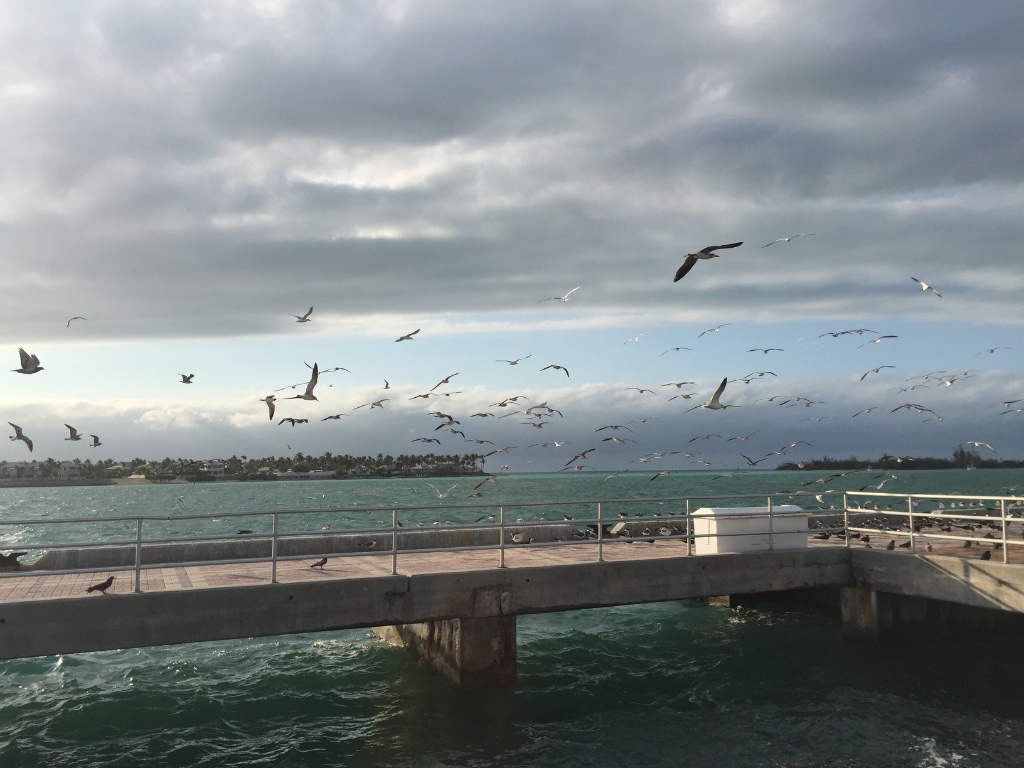 Mallory Square