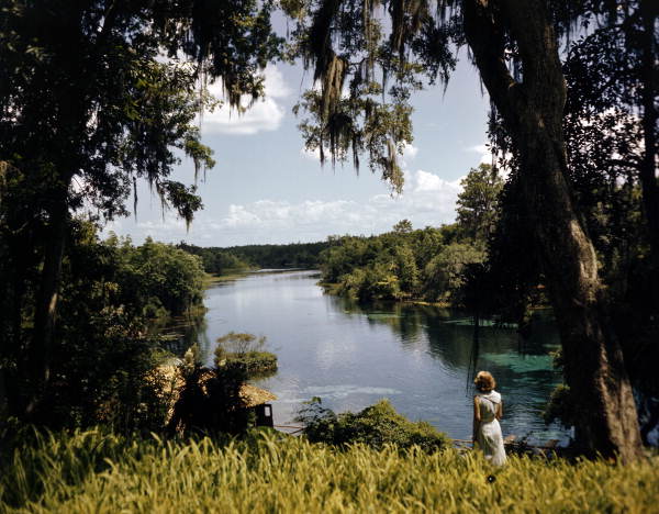Rainbow Springs State Park