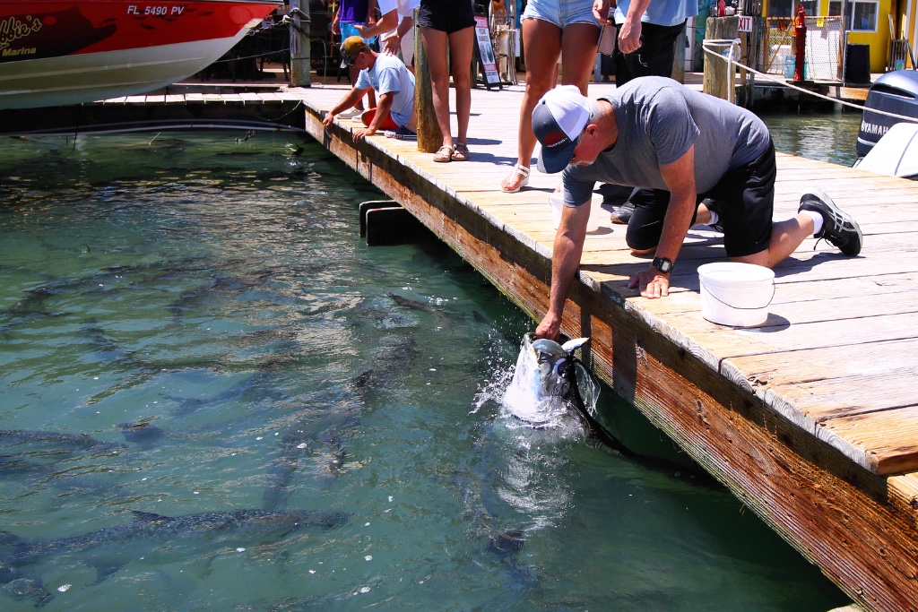 Robbie's of Islamorada