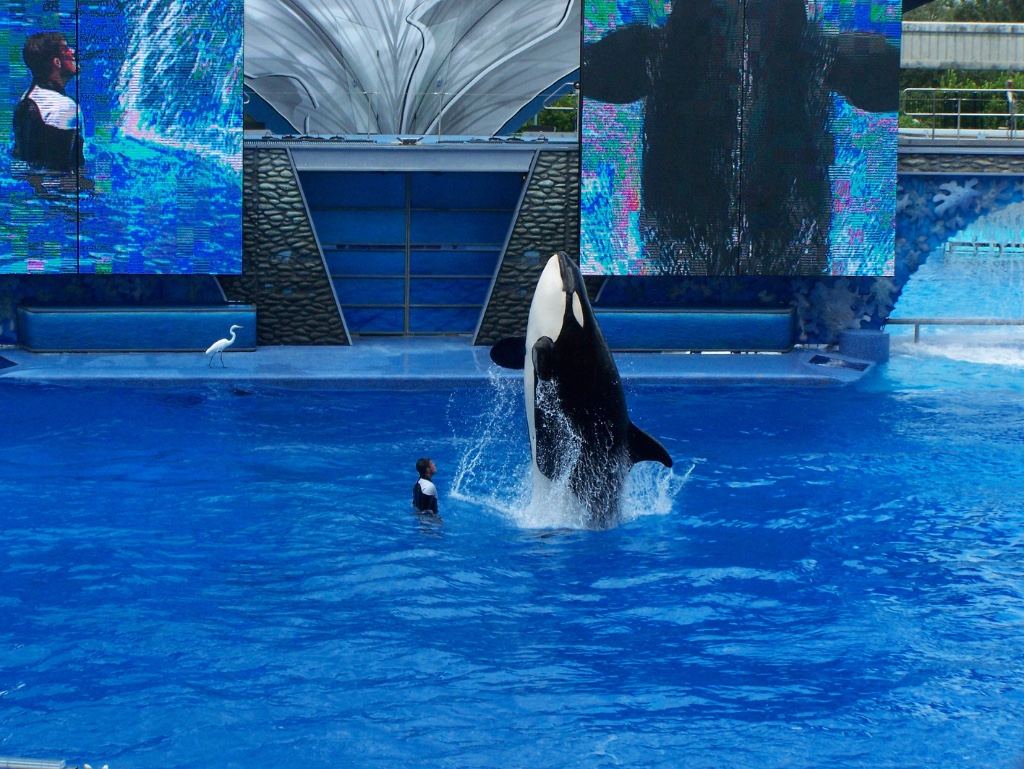 SeaWorld Orlando