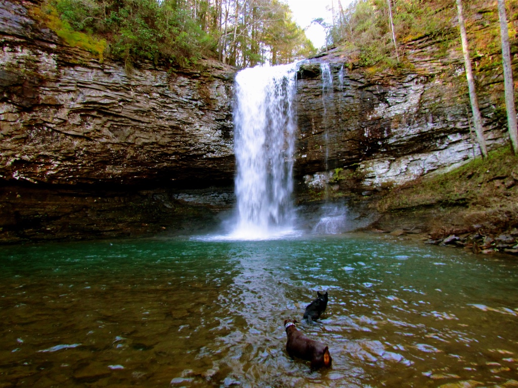 Cloudland Canyon State Park