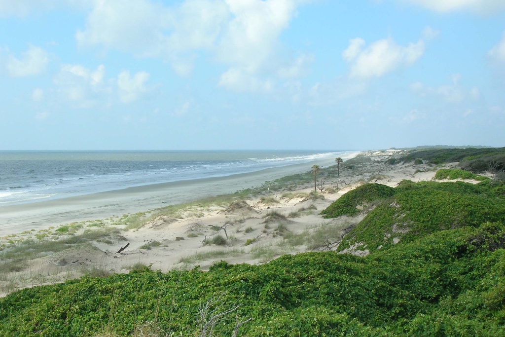 Cumberland Island National Seashore