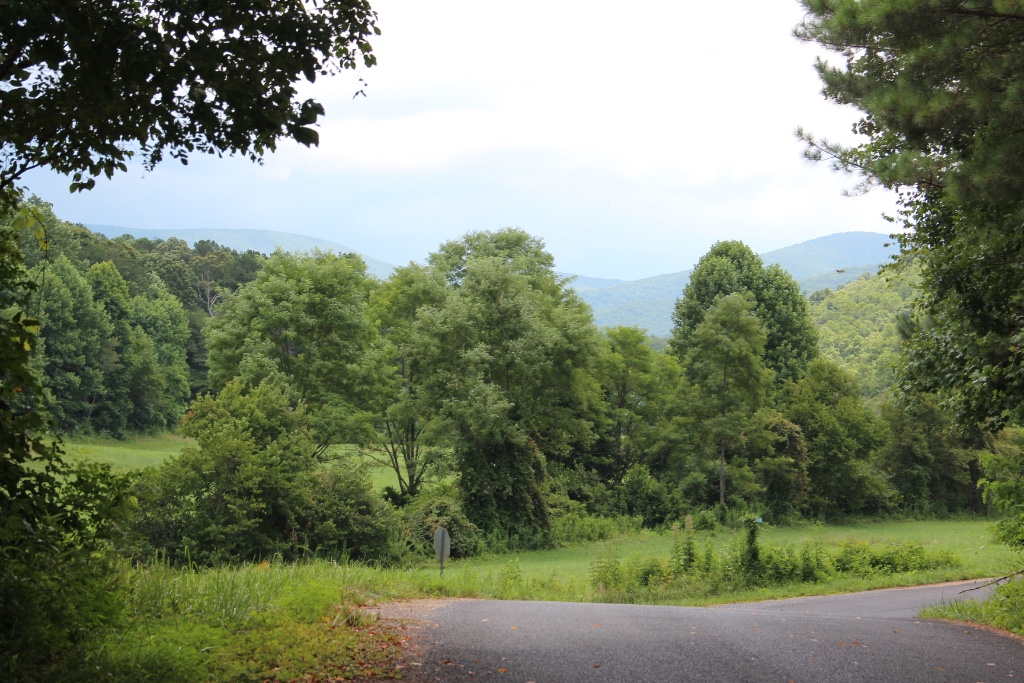 Springer Mountain