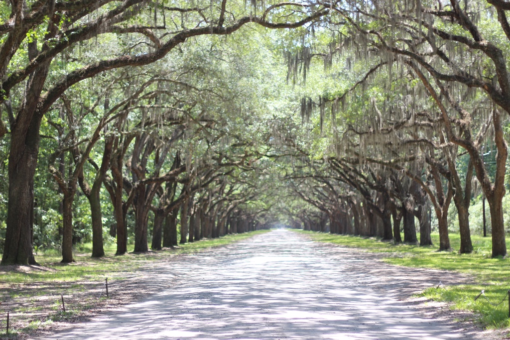 Wormsloe Historic Site