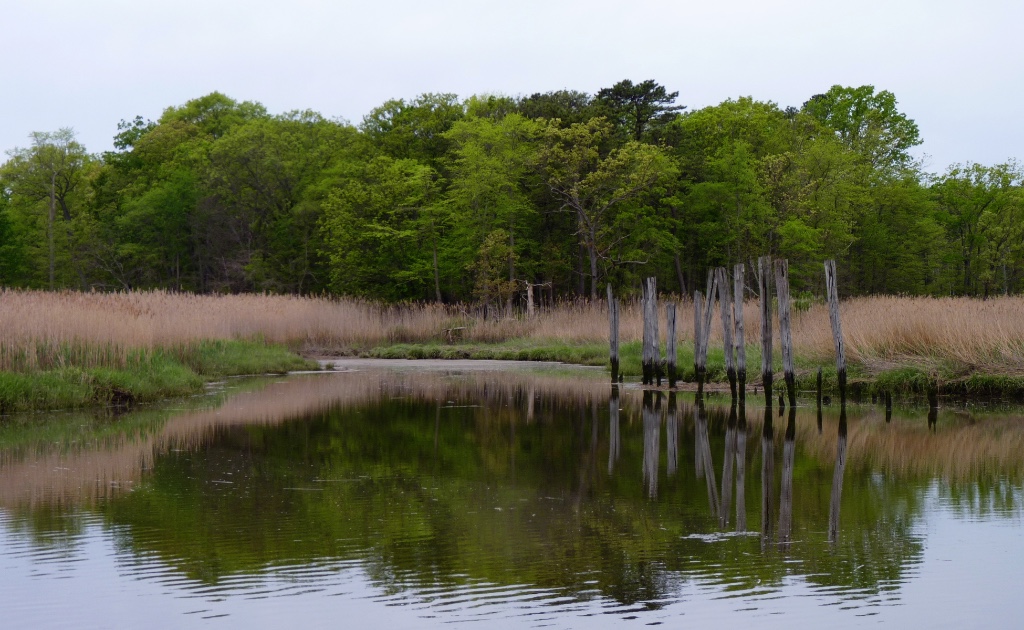 Cheesequake State Park