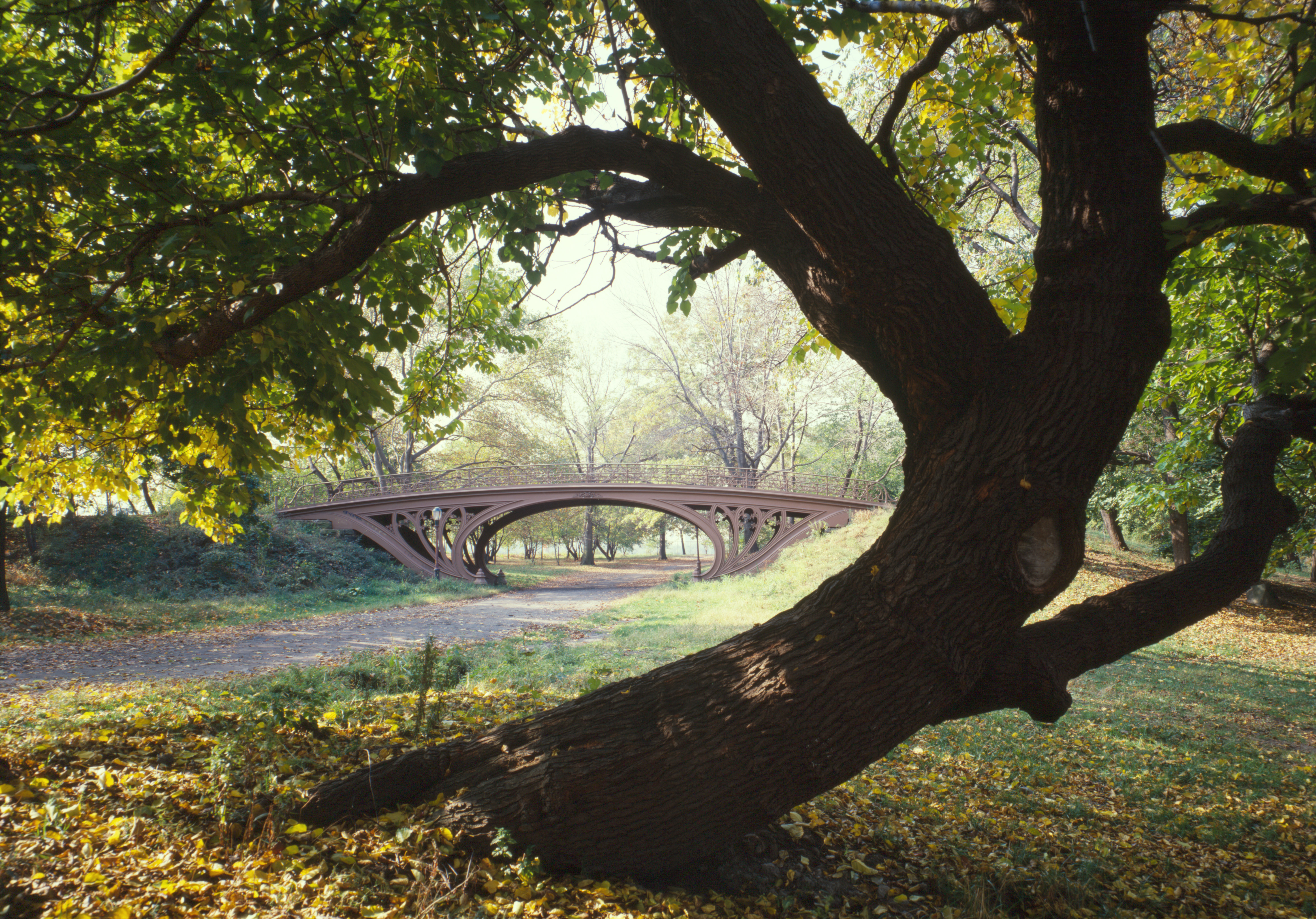 Top 10 Places to Visit in New York: The Complete 2026 Travel Guide