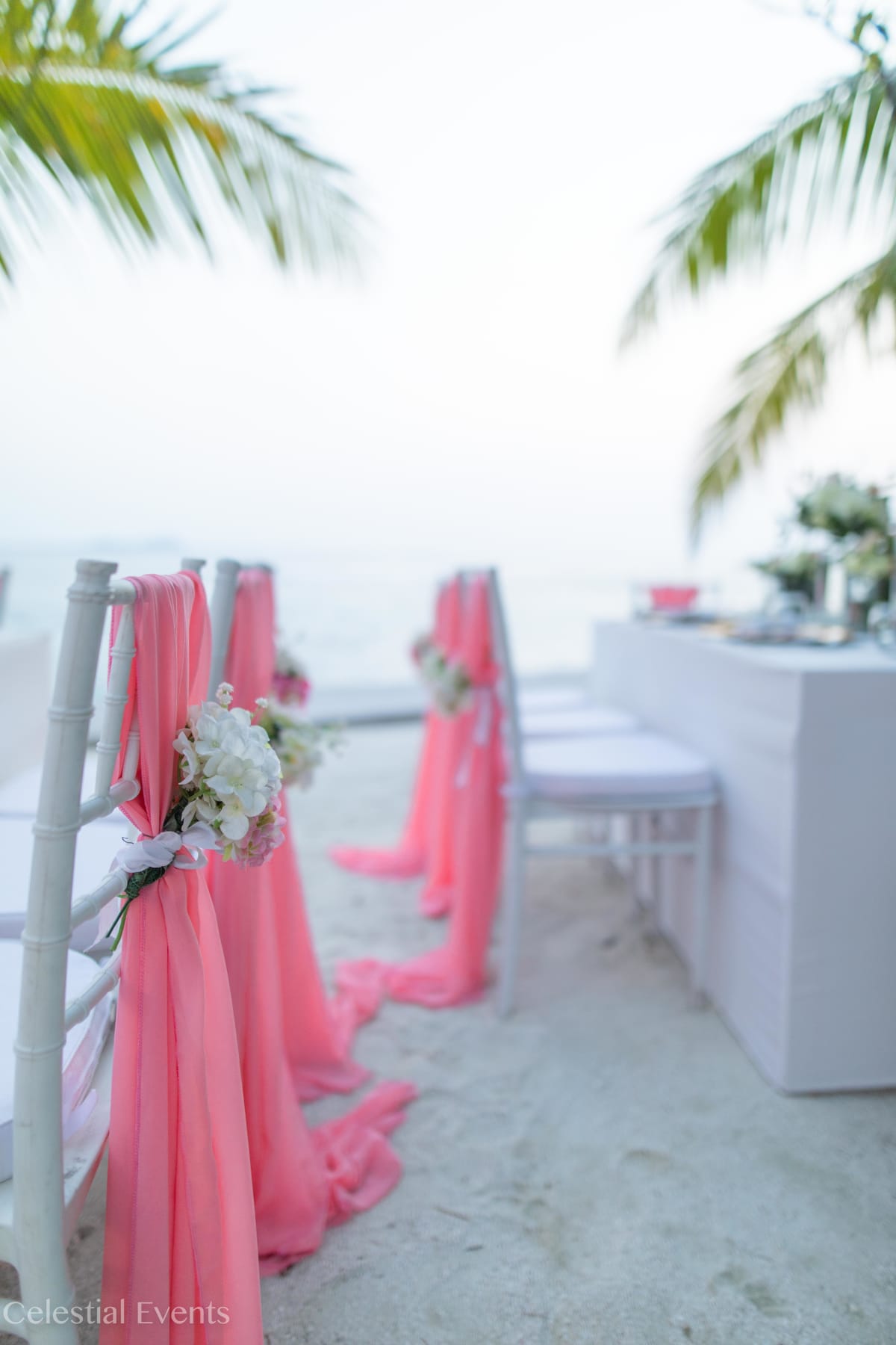 A Celestial Wedding | I and S — photo 6