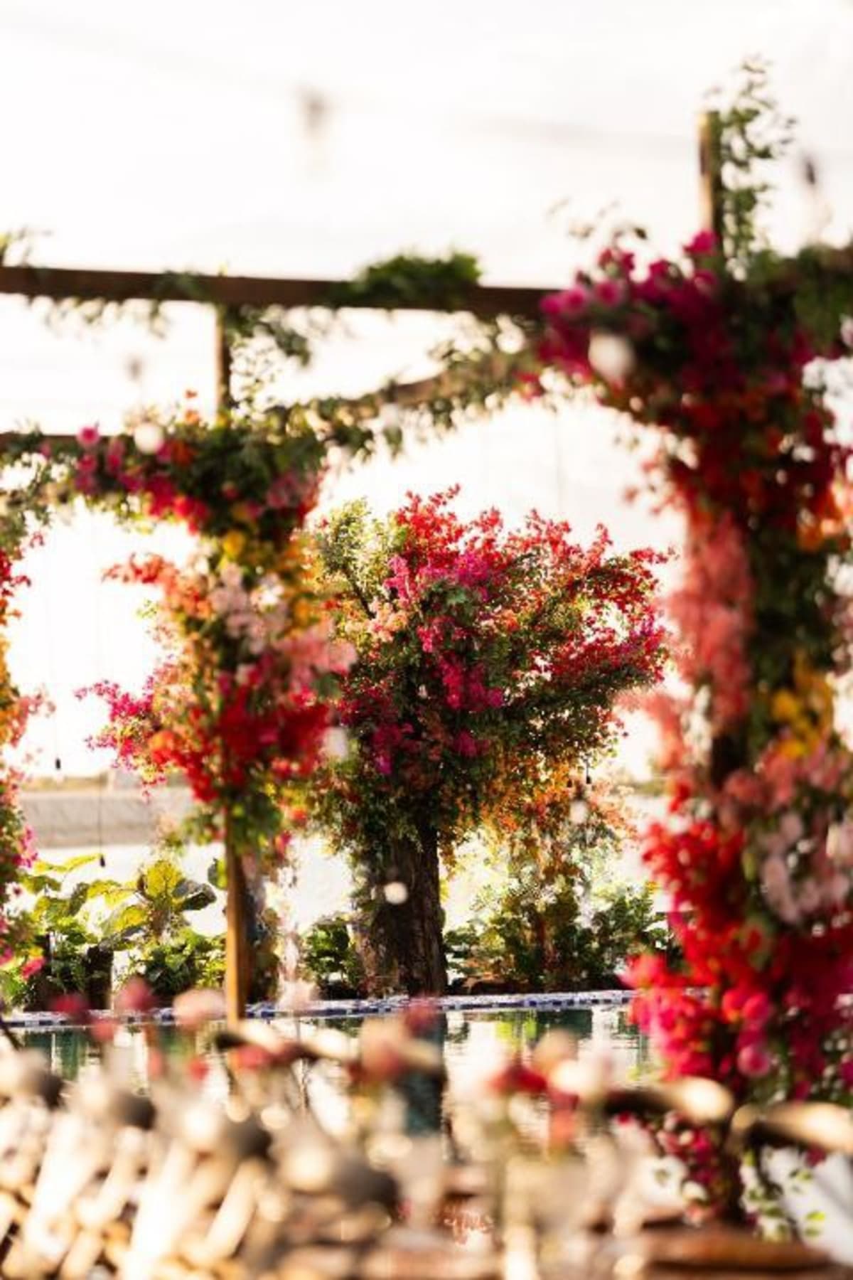 A Bougainvillea Dream |  S and R — photo 5