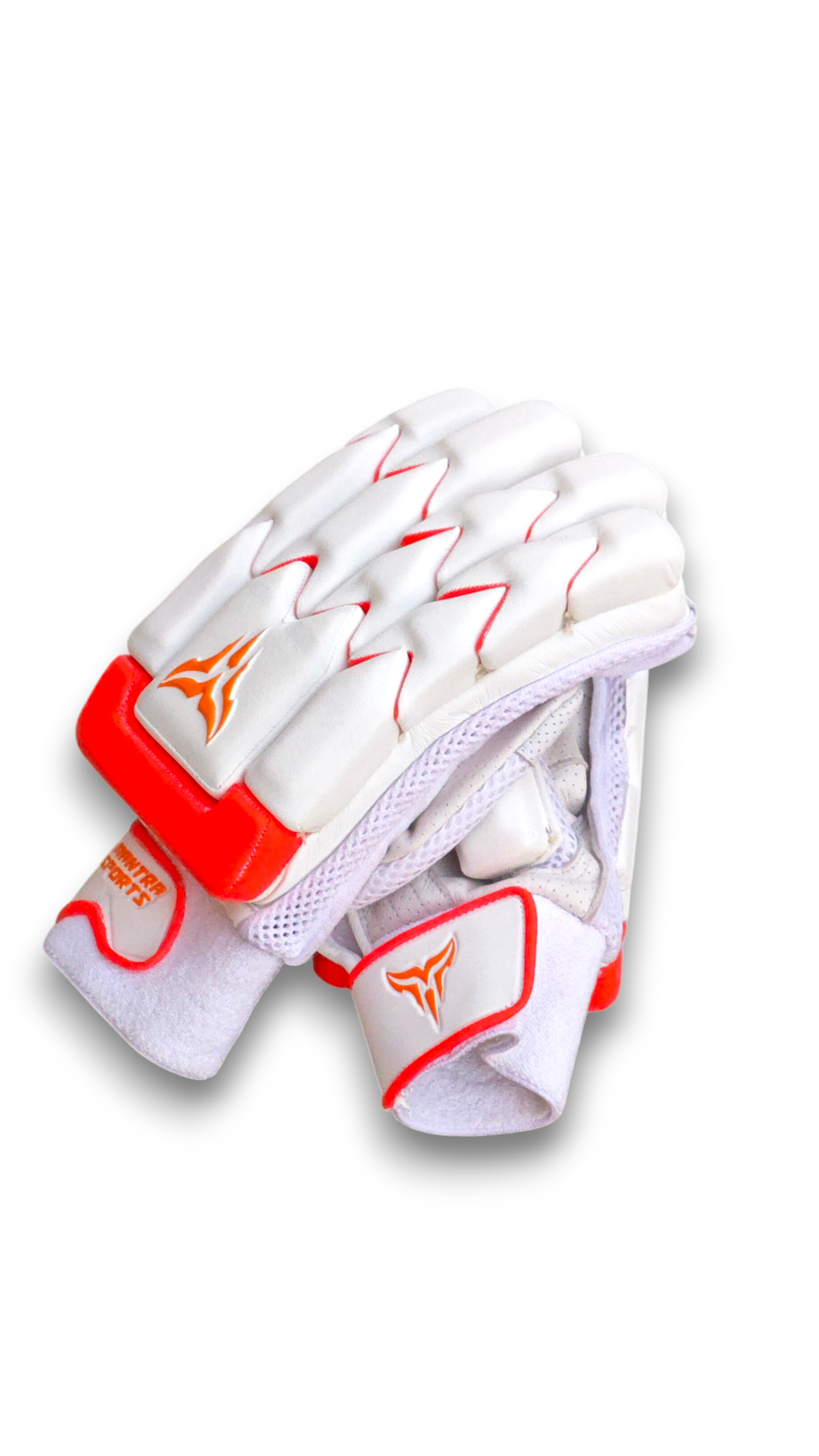 Mantra Sports Raptor Cricket Batting Gloves Front View