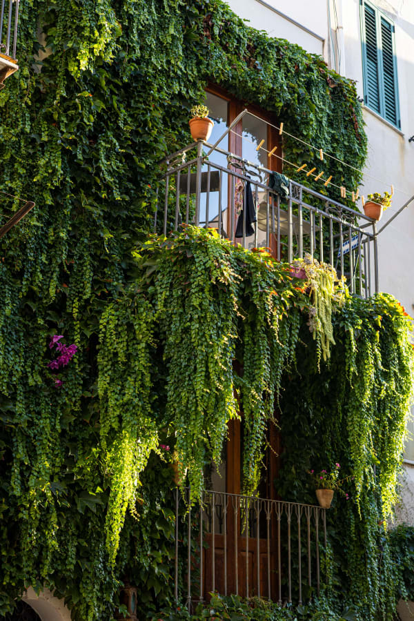 Balcone erboso