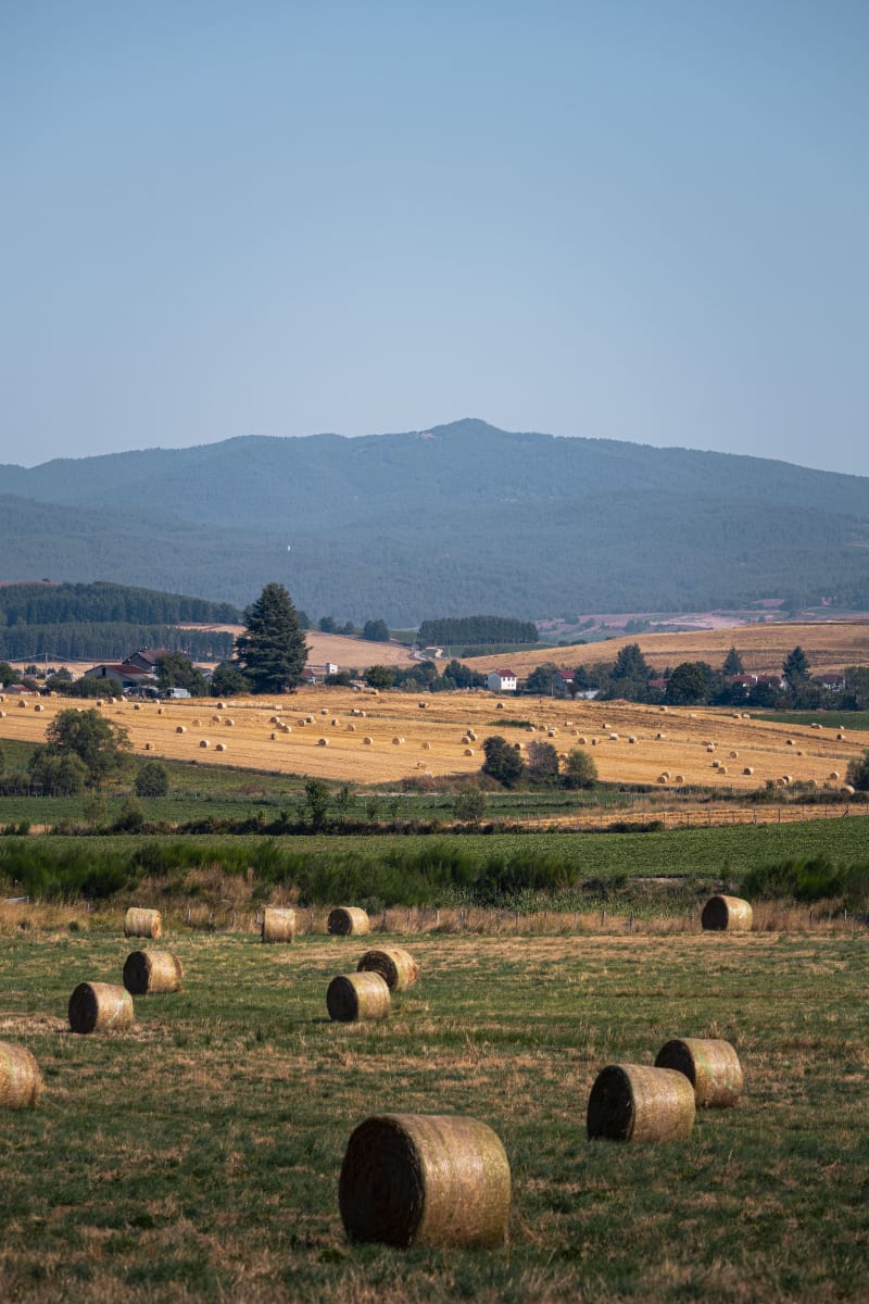 Balle e panorama