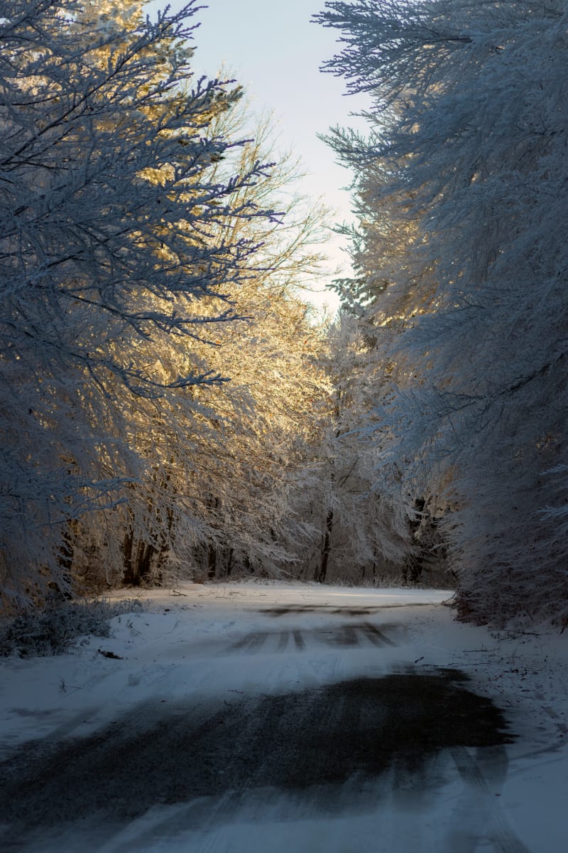 Strada innevata al tramonto