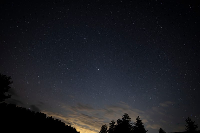 Cielo stellato tra i boschi