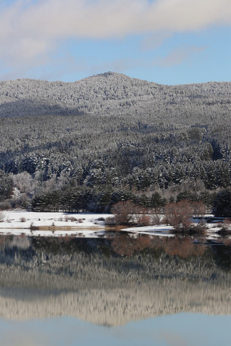 Riflessi sul lago Cecita
