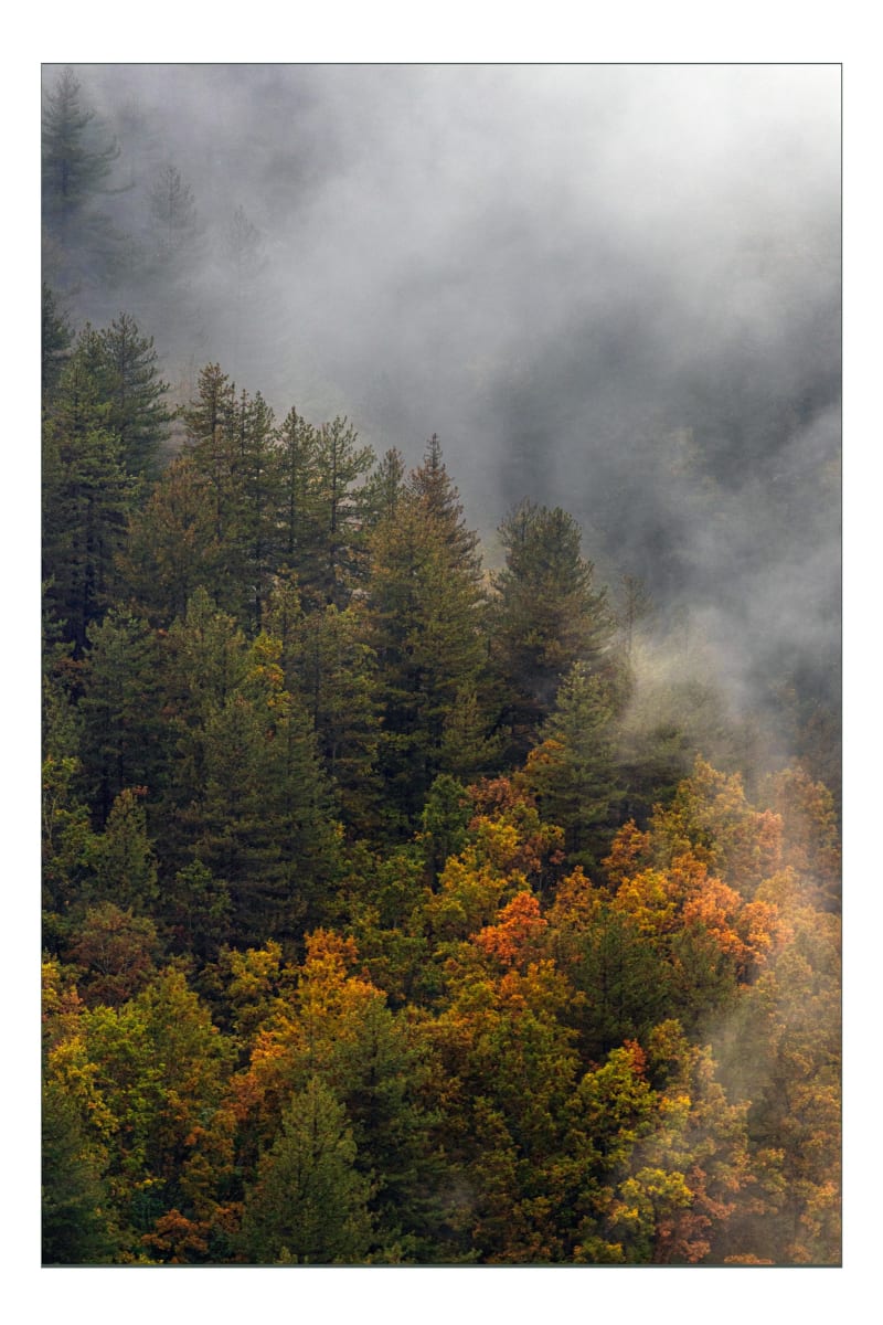 Cornice autunnale