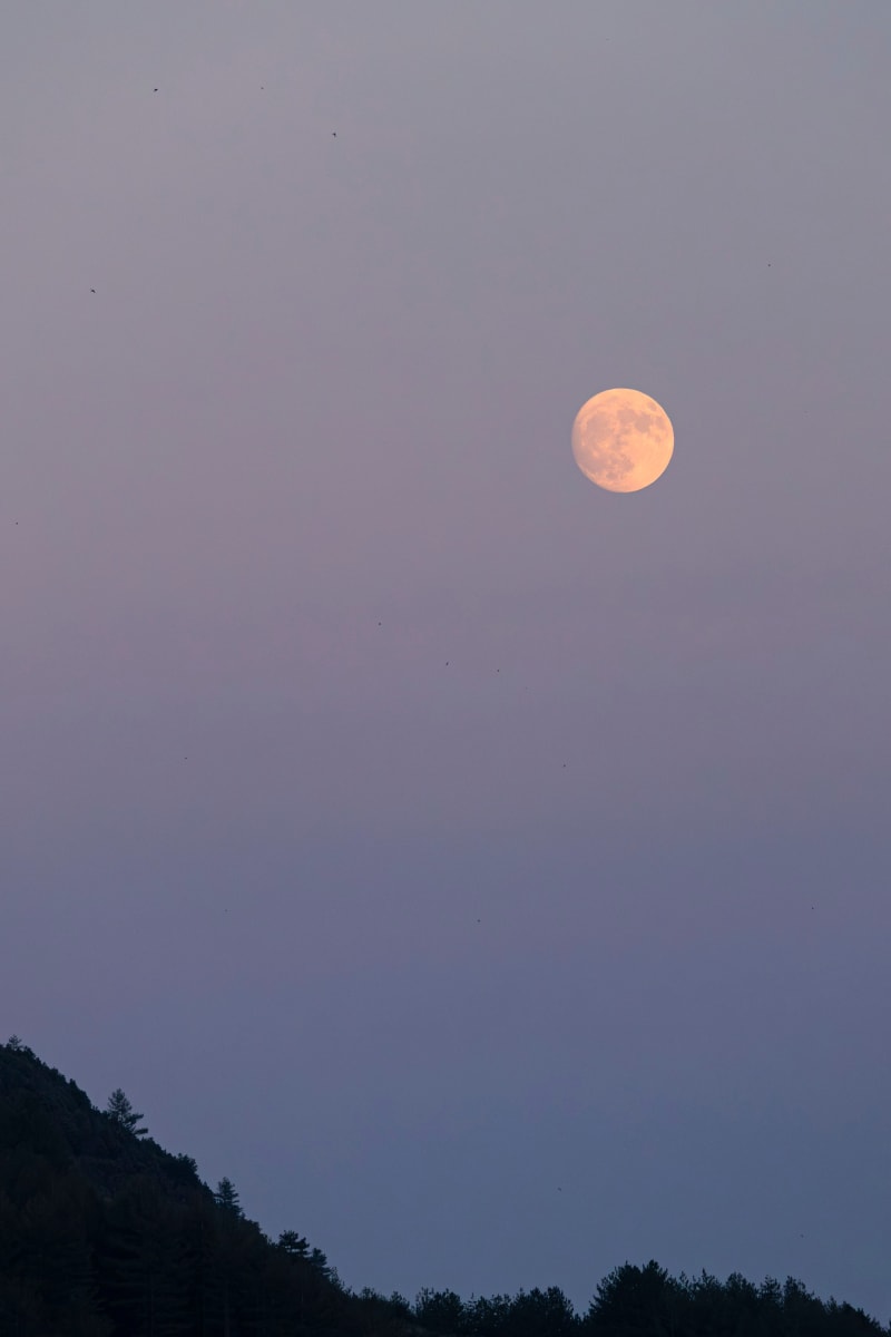 Luna al tramonto