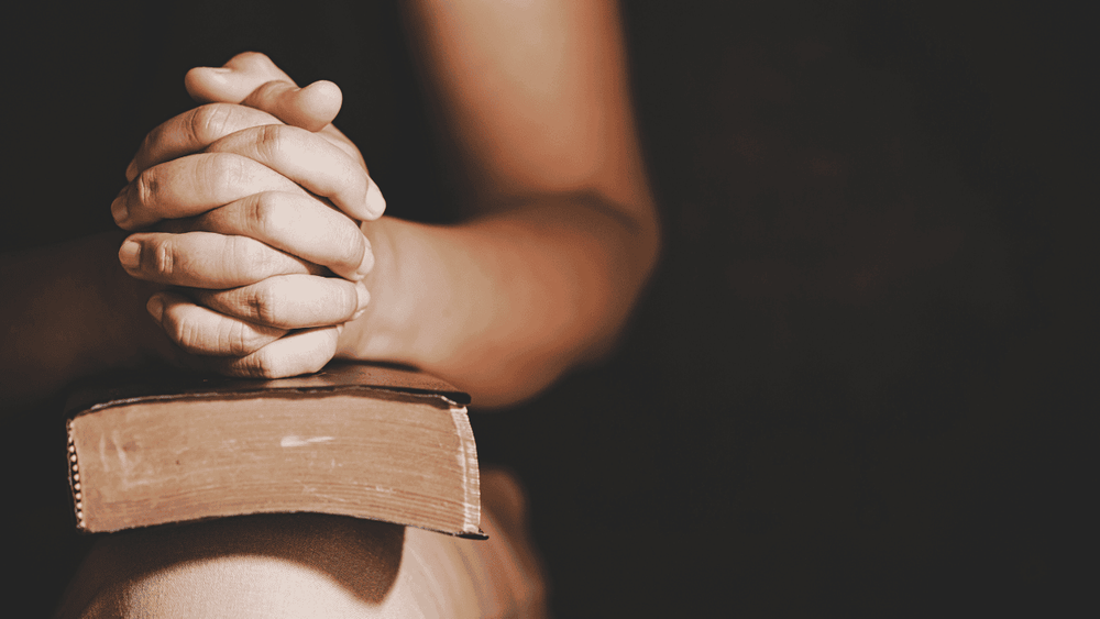 Zuree placeholder image