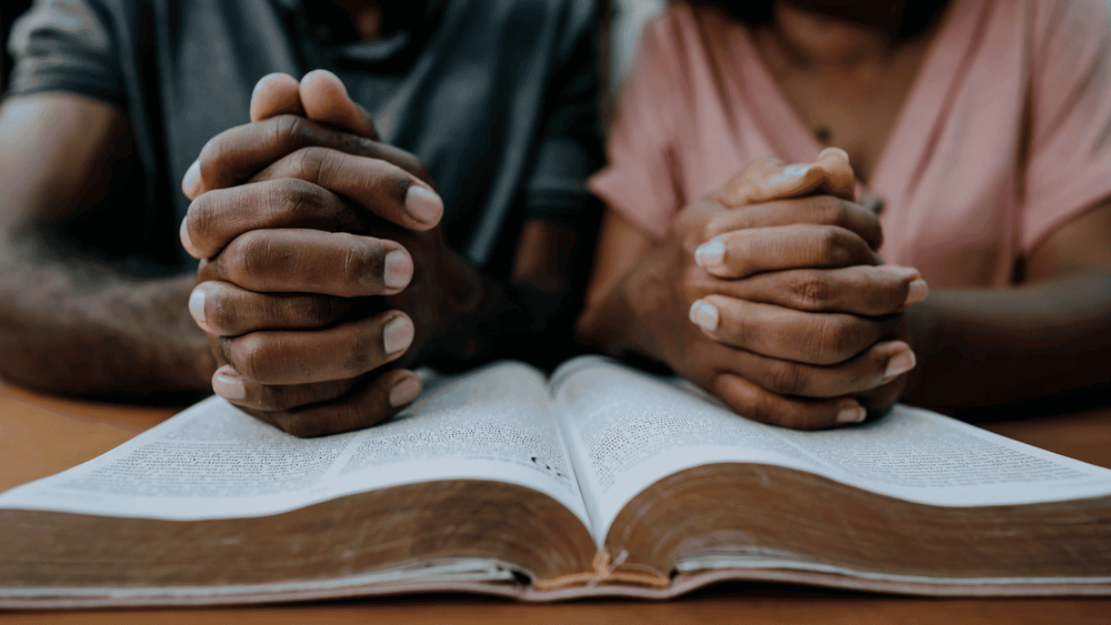 Zuree placeholder image