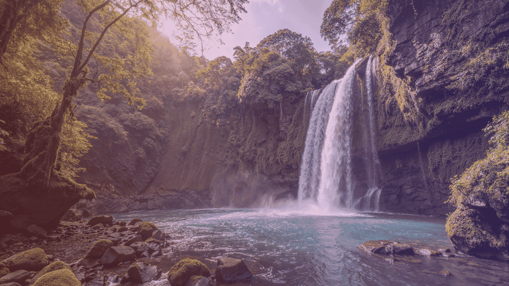 Zuree placeholder image