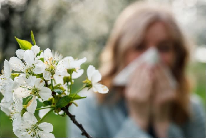 Como prevenir as alergias da Primavera? 