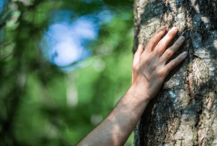 A Terra é viva, geradora de todos os seres vivos