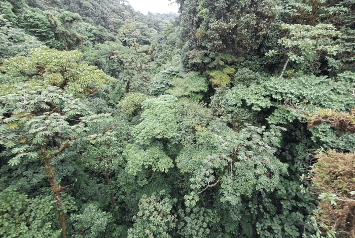 blog photo