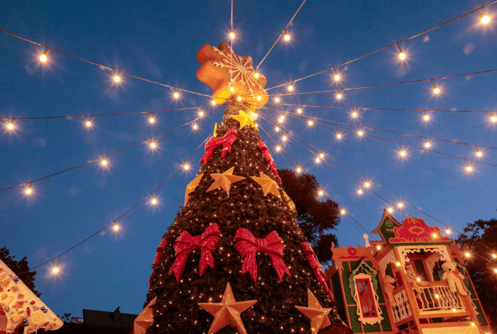 Já é Natal na Região das Hortênsias