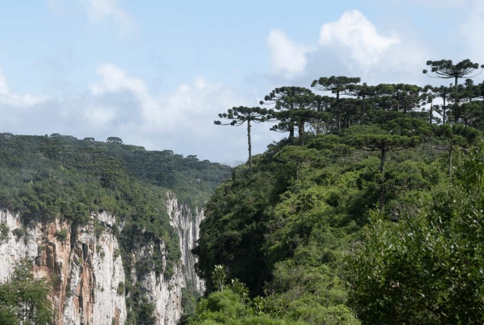 Jornada dos Aparados da Serra 