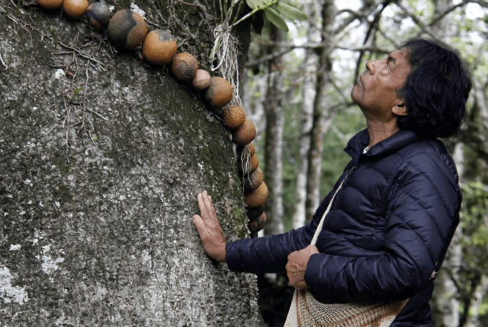 Ailton Krenak é o convidado para a aula inaugural na UFRGS