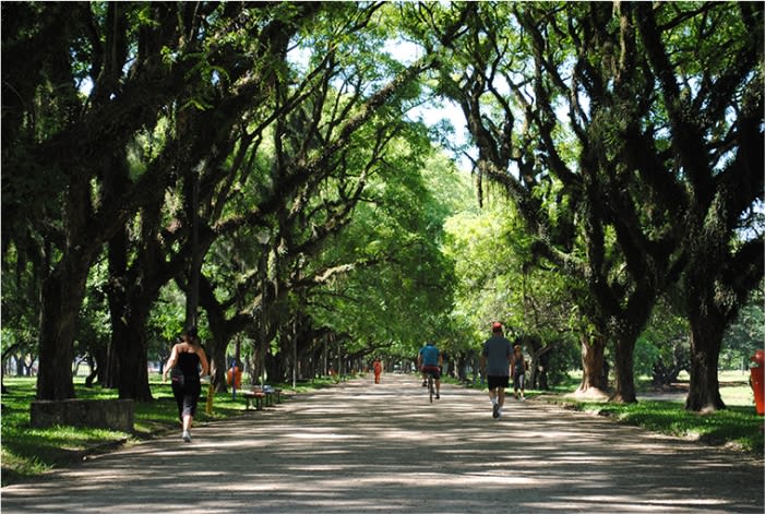 Parque público é pra dar lucro?