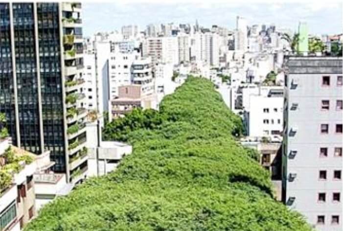 Resistência verde em alta